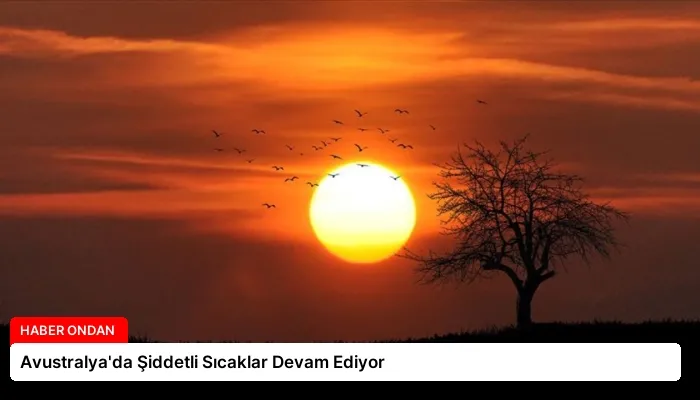 Avustralya’da Şiddetli Sıcaklar Devam Ediyor