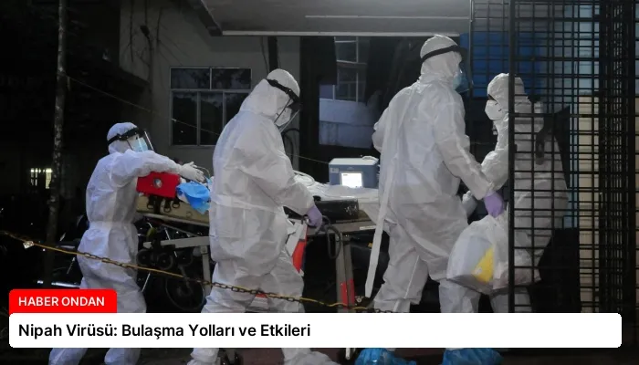 Nipah Virüsü: Bulaşma Yolları ve Etkileri