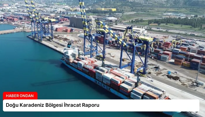 Doğu Karadeniz Bölgesi İhracat Raporu