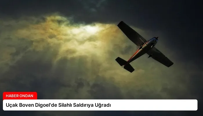 Uçak Boven Digoel’de Silahlı Saldırıya Uğradı