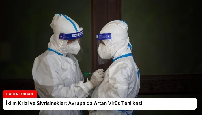 İklim Krizi ve Sivrisinekler: Avrupa’da Artan Virüs Tehlikesi