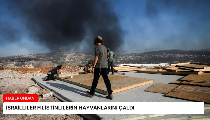 İSRAİLLİLER FİLİSTİNLİLERİN HAYVANLARINI ÇALDI