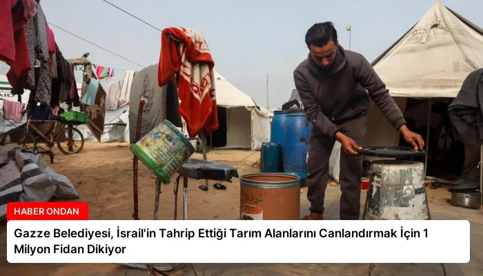 Gazze Belediyesi, İsrail’in Tahrip Ettiği Tarım Alanlarını Canlandırmak İçin 1 Milyon Fidan Dikiyor
