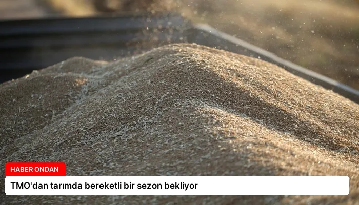 TMO’dan tarımda bereketli bir sezon bekliyor