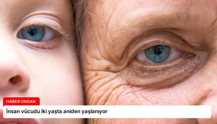 İnsan vücudu iki yaşta aniden yaşlanıyor