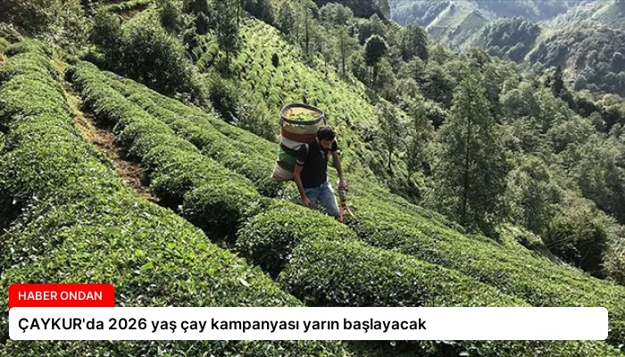 ÇAYKUR’da 2026 yaş çay kampanyası yarın başlayacak