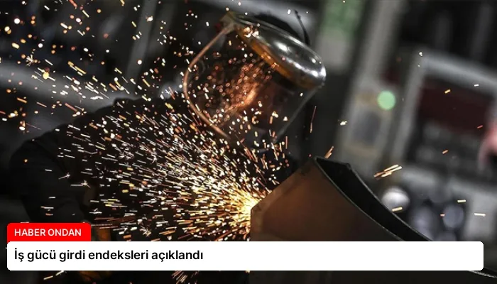 İş gücü girdi endeksleri açıklandı