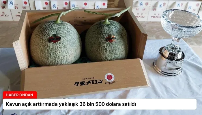 Kavun açık arttırmada yaklaşık 36 bin 500 dolara satıldı