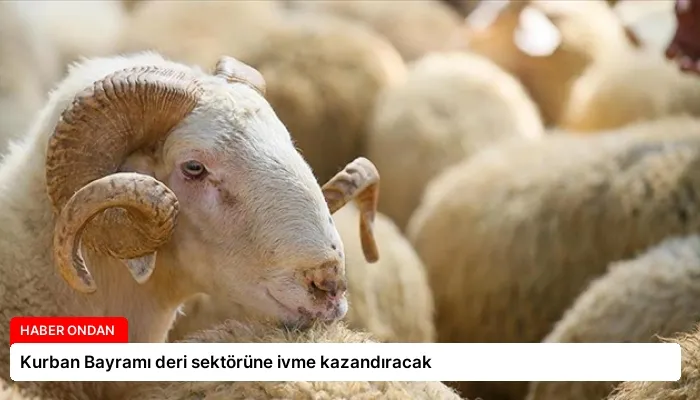 Kurban Bayramı deri sektörüne ivme kazandıracak