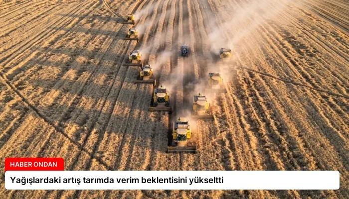 Yağışlardaki artış tarımda verim beklentisini yükseltti