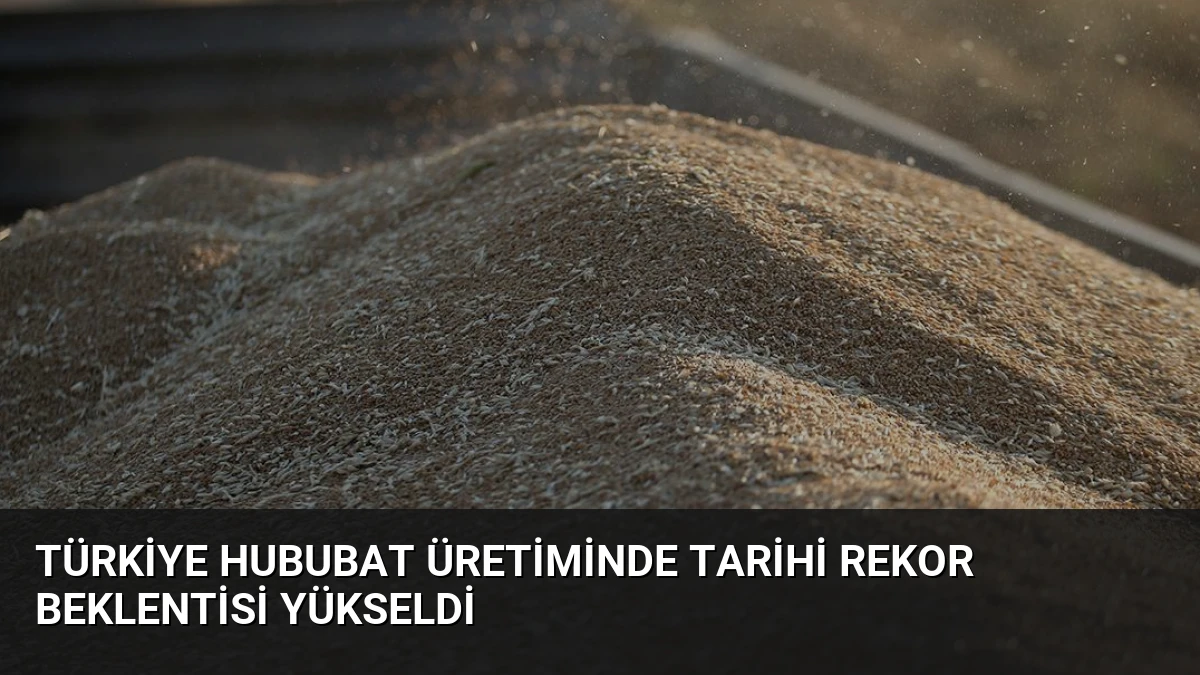 Türkiye Hububat Üretiminde Tarihi Rekor Beklentisi Yükseldi