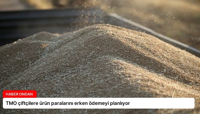 TMO çiftçilere ürün paralarını erken ödemeyi planlıyor
