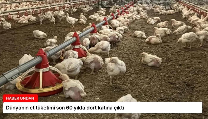 Dünyanın et tüketimi son 60 yılda dört katına çıktı