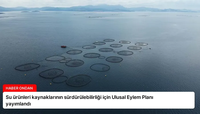 Su ürünleri kaynaklarının sürdürülebilirliği için Ulusal Eylem Planı yayımlandı