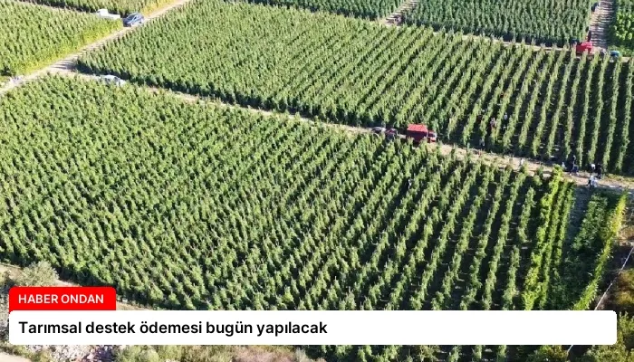 Tarımsal destek ödemesi bugün yapılacak