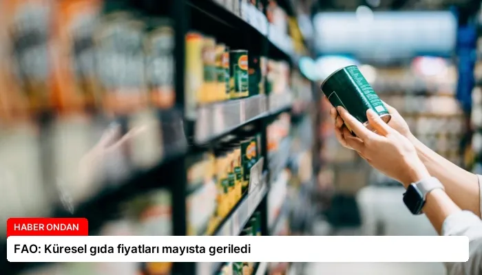 FAO: Küresel gıda fiyatları mayısta geriledi