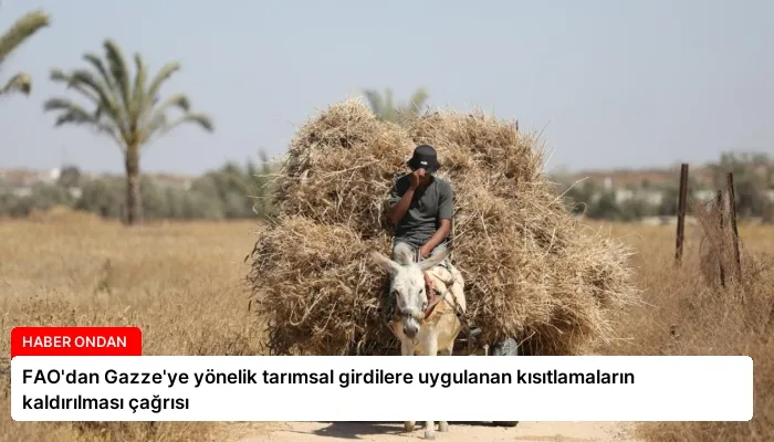 FAO’dan Gazze’ye yönelik tarımsal girdilere uygulanan kısıtlamaların kaldırılması çağrısı