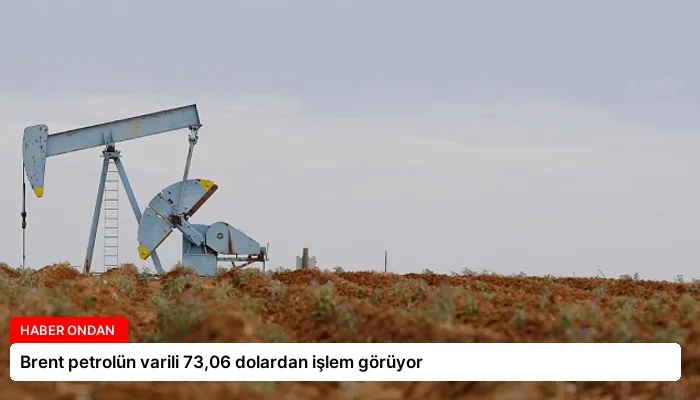 Brent petrolün varili 73,06 dolardan işlem görüyor
