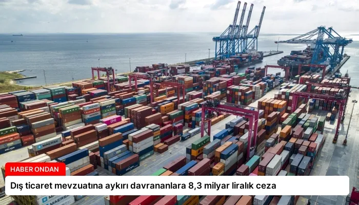 Dış ticaret mevzuatına aykırı davrananlara 8,3 milyar liralık ceza