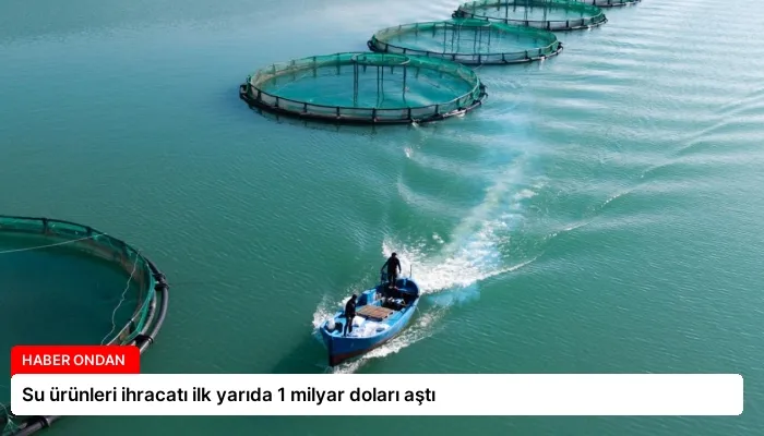 Su ürünleri ihracatı ilk yarıda 1 milyar doları aştı