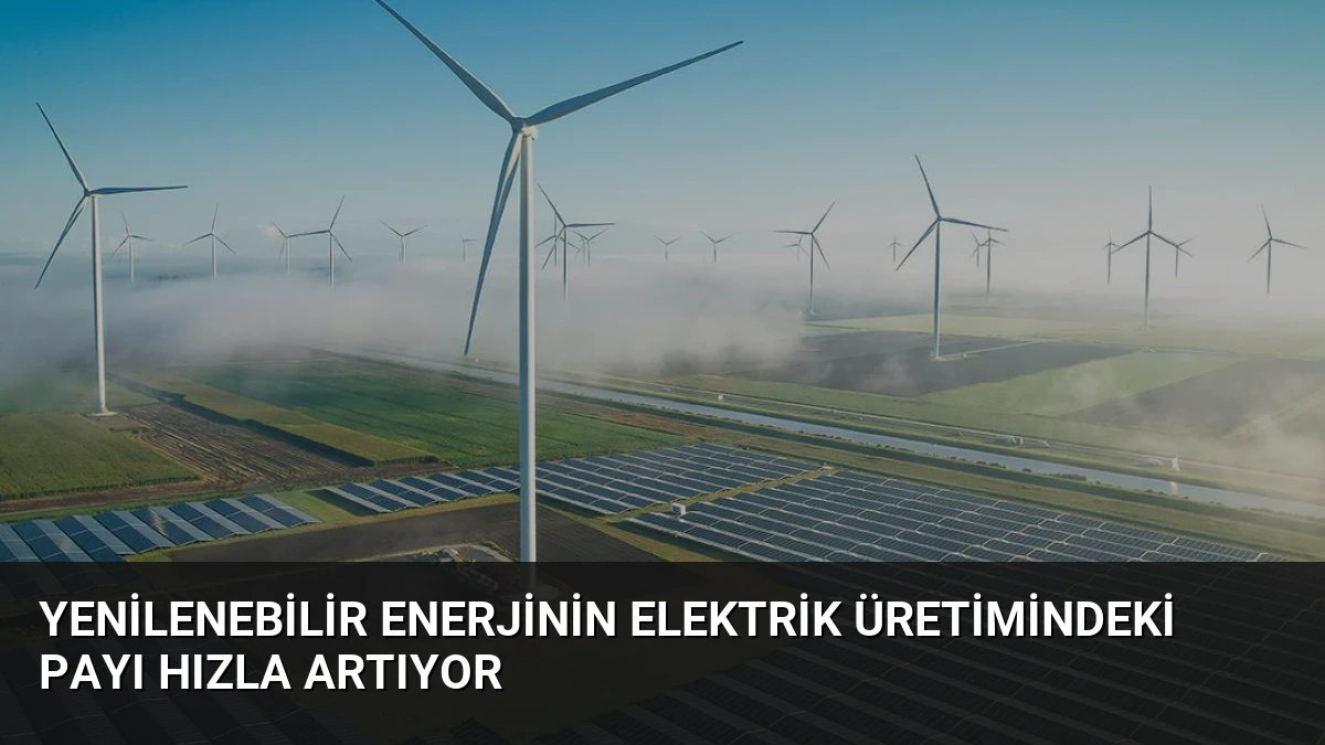 Yenilenebilir Enerjinin Elektrik Üretimindeki Payı Hızla Artıyor