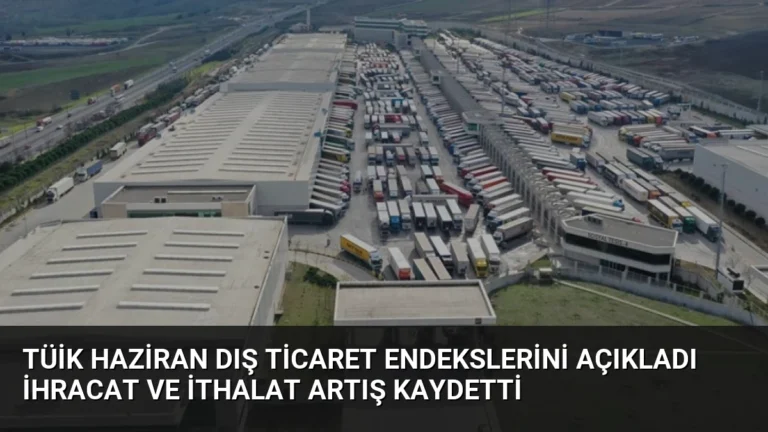TÜİK Haziran Dış Ticaret Endekslerini Açıkladı İhracat ve İthalat Artış Kaydetti