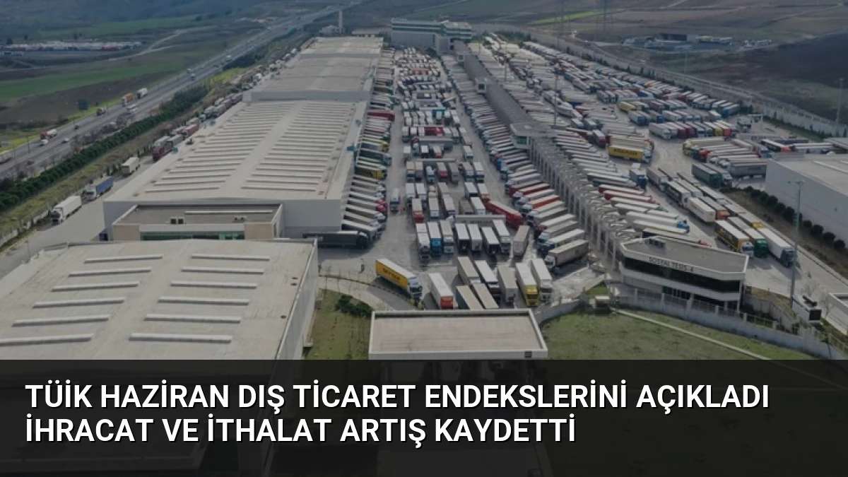 TÜİK Haziran Dış Ticaret Endekslerini Açıkladı İhracat ve İthalat Artış Kaydetti