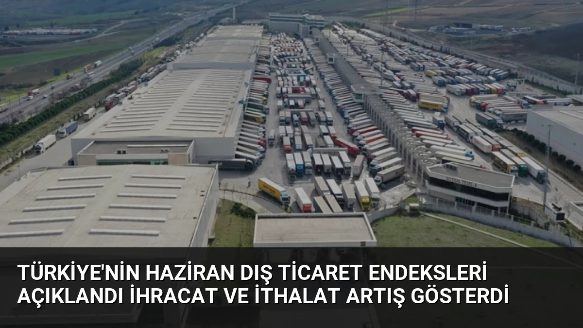 Türkiye’nin Haziran Dış Ticaret Endeksleri Açıklandı İhracat ve İthalat Artış Gösterdi