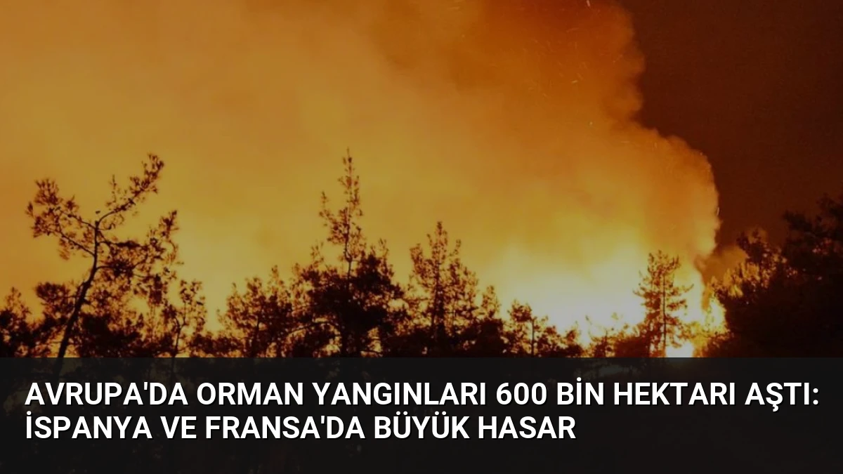 Avrupa’da Orman Yangınları 600 Bin Hektarı Aştı: İspanya ve Fransa’da Büyük Hasar