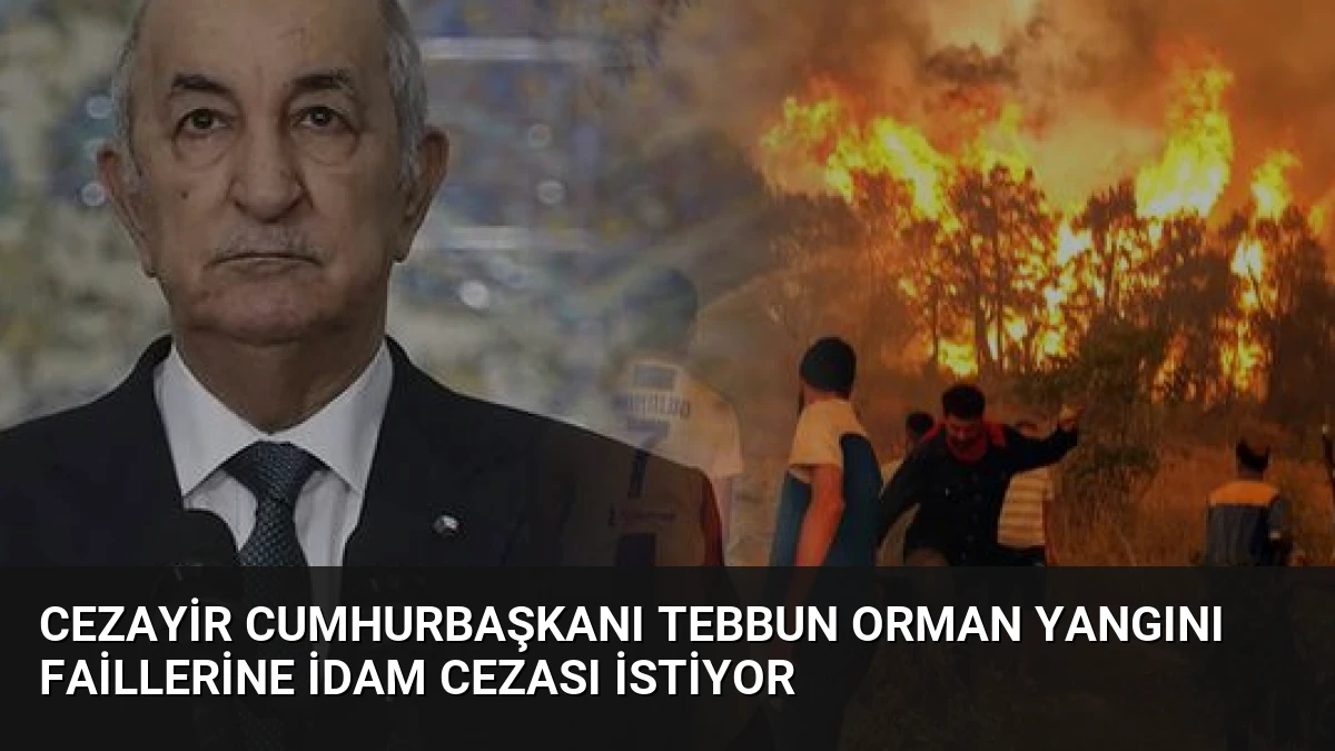 Cezayir Cumhurbaşkanı Tebbun Orman Yangını Faillerine İdam Cezası İstiyor
