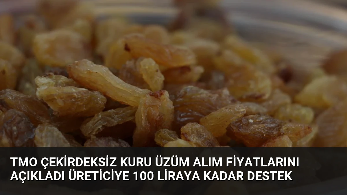 TMO Çekirdeksiz Kuru Üzüm Alım Fiyatlarını Açıkladı Üreticiye 100 Liraya Kadar Destek