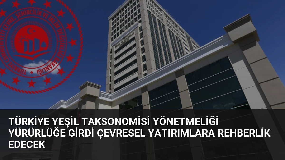 Türkiye Yeşil Taksonomisi Yönetmeliği Yürürlüğe Girdi Çevresel Yatırımlara Rehberlik Edecek
